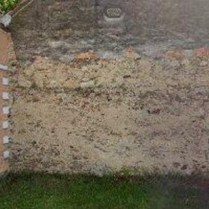 obrazek: avatar PLANDOR MAREK