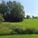 PŘECECHTĚL MIROSLAV