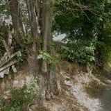 ŠEFLOVÁ KATEŘINA-RYCHLÝ PŘEKLAD