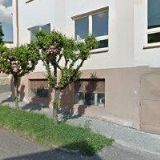 SHANAHANOVÁ IRENA Mgr.