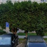 BARTOŠOVÁ JANA PhDr.