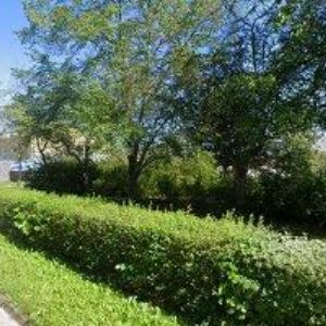 obrazek: avatar BLÁHA JOSEF Ing.