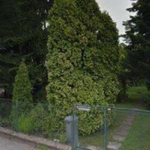 obrazek: avatar NEVRKLA ALEŠ Ing.