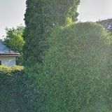 BOSTL FRANTIŠEK Ing.