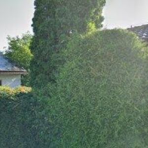obrazek: avatar BOSTL FRANTIŠEK Ing.