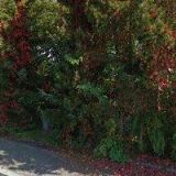 HESOUN MILOSLAV Ing.