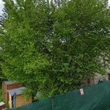 BLAŽEK JIŘÍ-OCEŇOVÁNÍ NEMOVITOSTÍ