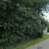 AK-TŮMA FRANTIŠEK JUDr.