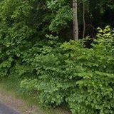 AK-GELBIČ VLADIMÍR JUDr.