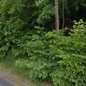 obrazek: avatar AK-GELBIČ VLADIMÍR JUDr.