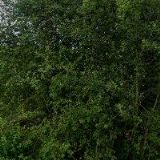 JEZDECKÝ KLUB SLUPENEC , s.r.o.