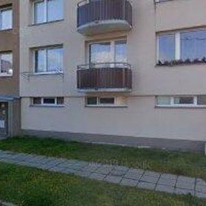 obrazek: avatar SKI AREÁL ČESKÉ ŽLEBY , o.s.