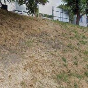 obrazek: avatar ZIMNÍ STADION Ledeč nad Sázavou