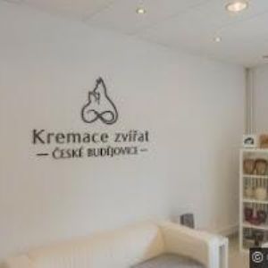 obrazek: avatar KONTAKT SERVIS CZ s.r.o.