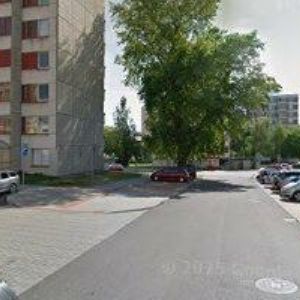 obrazek: avatar SCHMIDT MIROSLAV