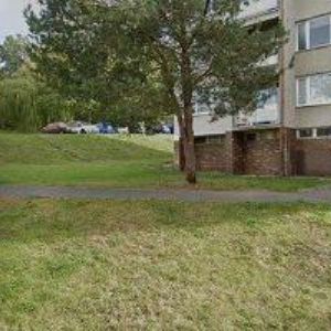 obrazek: avatar ZEMAN RICHARD , spol. s r.o.