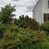 ELEKTRIC NOVA GROUP , s.r.o.