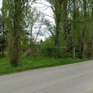 obrazek: avatar BUNEŠ MIROSLAV