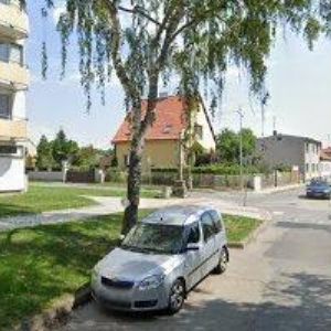 obrazek: avatar KRAUS ROMAN