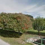 TROJAN VLADIMÍR-ZEDNICKÉ A OBKLADAČSKÉ PRÁCE