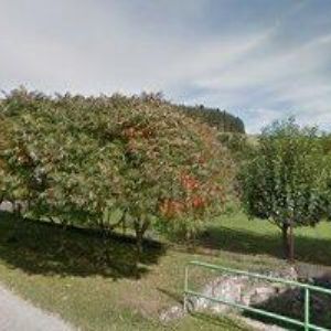 obrazek: avatar TROJAN VLADIMÍR-ZEDNICKÉ A OBKLADAČSKÉ PRÁCE