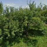 PIVEC JIŘÍ-ZEDNICTVÍ A VODOINSTALATÉRSTVÍ