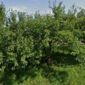 obrazek: avatar PIVEC JIŘÍ-ZEDNICTVÍ A VODOINSTALATÉRSTVÍ