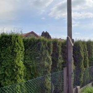 obrazek: avatar KLEMENT JINDŘICH