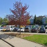 CHRÁNĚNÉ DÍLNY FOKUS VYSOČINA , s.r.o.