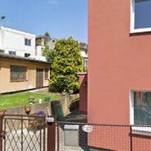 obrazek: avatar VALEŠ ZDENĚK