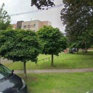 obrazek: avatar BUGAR MARIAN