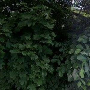 obrazek: avatar OSNADO spol. s r.o.