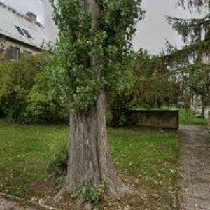 obrazek: avatar MOTOPRO.CZ