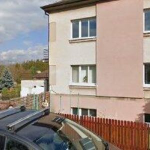 obrazek: avatar PALME PETR