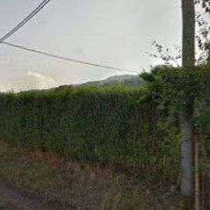 obrazek: avatar MOTO FRIGO