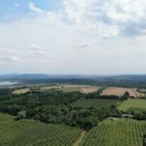 obrazek: avatar AUTO HRUBÝ s.r.o.