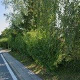 VOLEJNÍK VÁCLAV-AUTOSERVIS