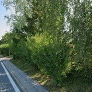 obrazek: avatar VOLEJNÍK VÁCLAV-AUTOSERVIS