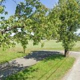 DVOŘÁK JIŘÍ-TAŽNÁ ZAŘÍZENÍ VAMBERK