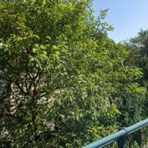 obrazek: avatar JIROUNEK PETR