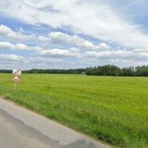 obrazek: avatar AUTO NECHANICE