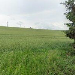 obrazek: avatar VIDOCHOV