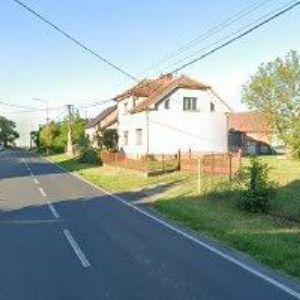 obrazek: avatar MIKAS PETR