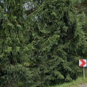 obrazek: avatar NEUMANNOVÁ KUŽELOVÁ GABRIELA