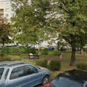 obrazek: avatar STÝBLO MARCEL