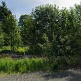 DOLEŽAL JOSEF-AUTOLAKOVNA