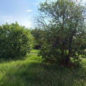 obrazek: avatar AUTOLAKOVNAPOLAK