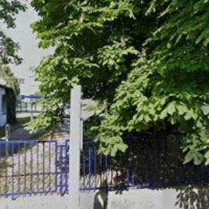 obrazek: avatar TEMPE