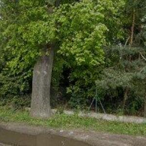 obrazek: avatar SONN s.r.o.