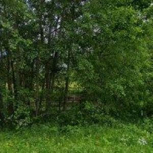 obrazek: avatar JIROUŠ ROMAN-OCELOT